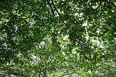 《星刃》战斗风格演示 节奏爽快外加多种武器变化