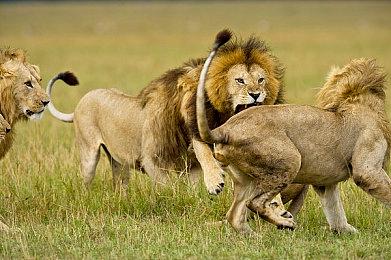 索尼宣布将关闭PS Stars忠诚计划：一切为玩家