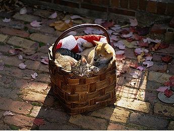 微软公布第二季度财报 游戏收入增长了8%